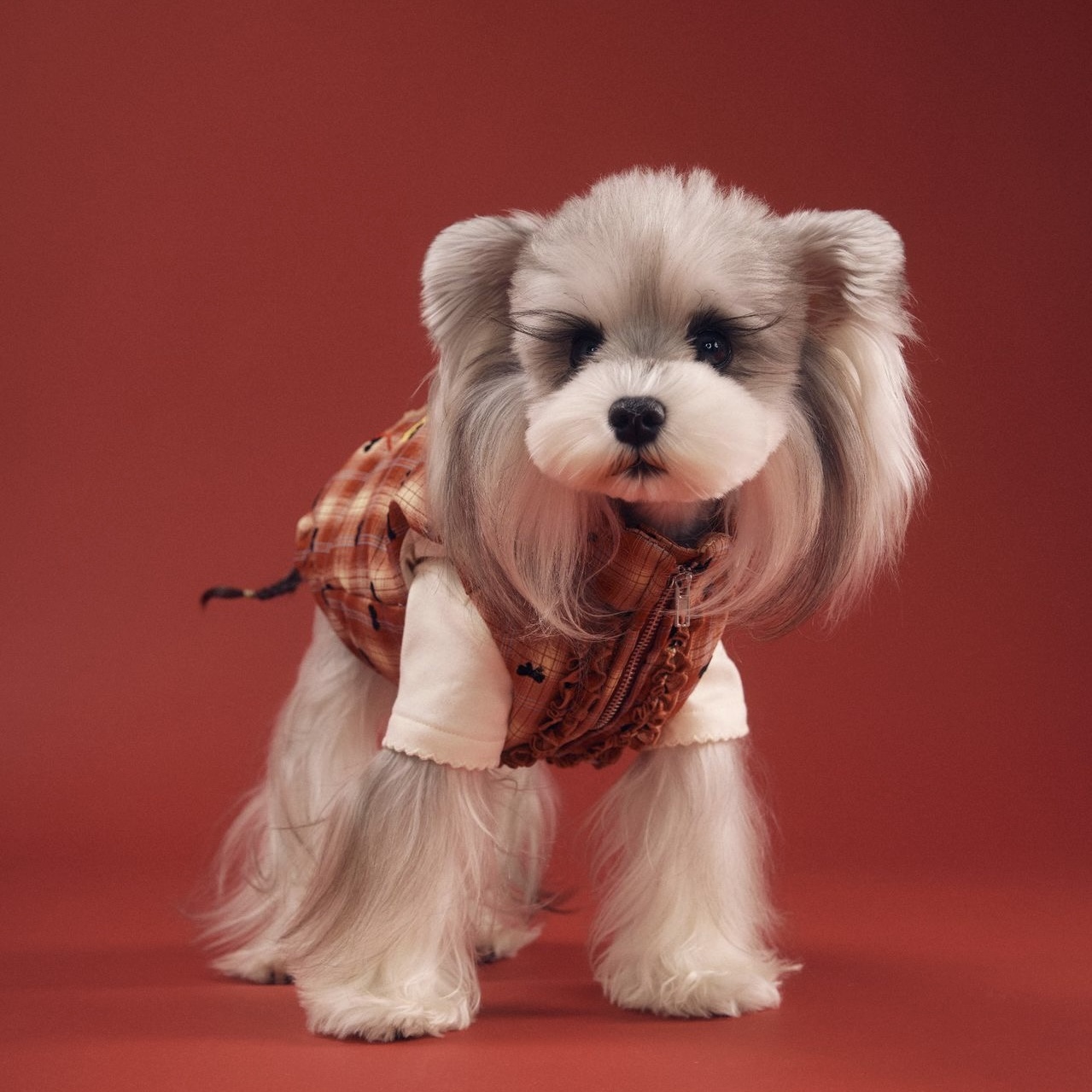 image_FE0CC25D-EEFC-428C-8293-38299CFCABE6_1767698291