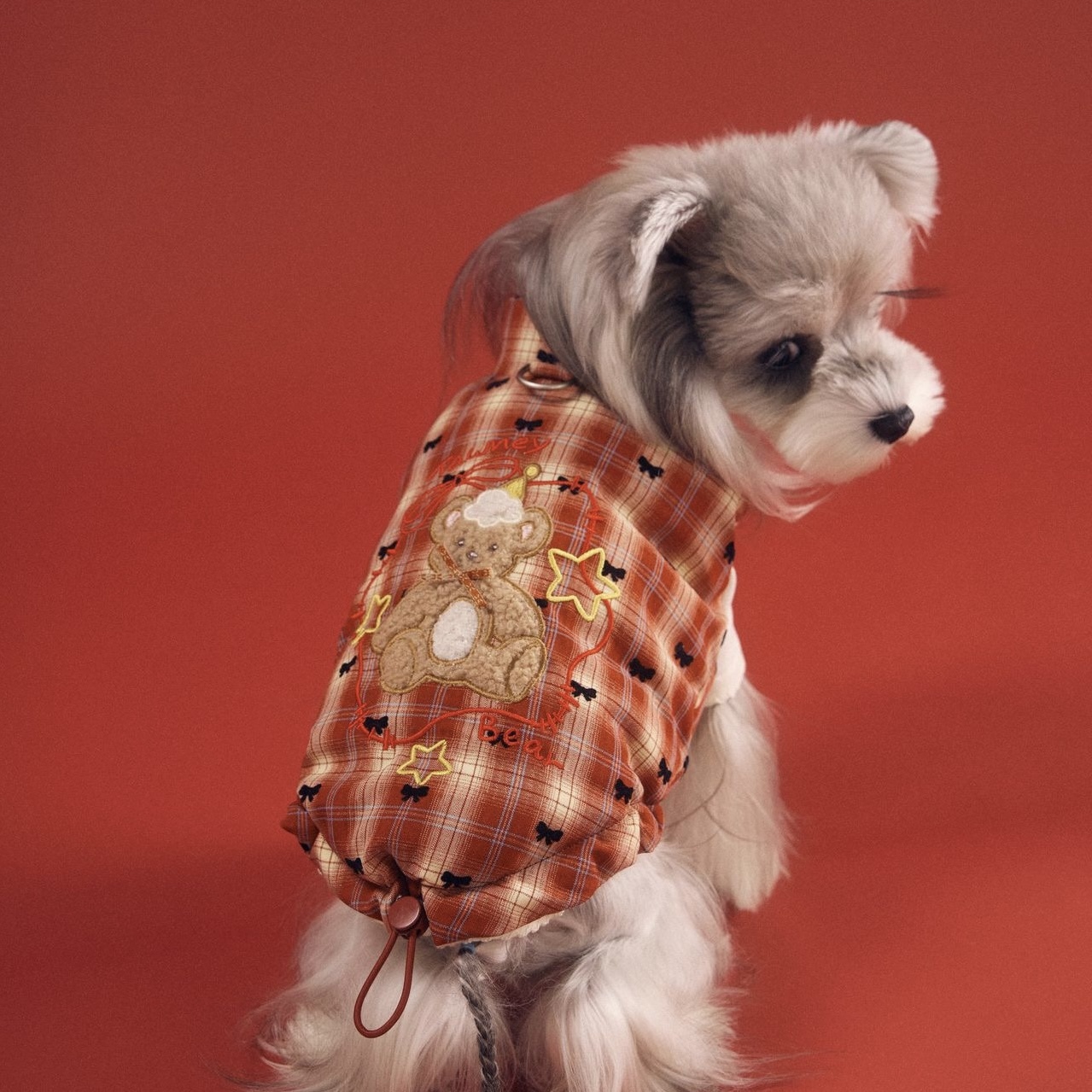 image_0E4ADB12-C689-4183-86D9-B7617D83C0DE_1767698291