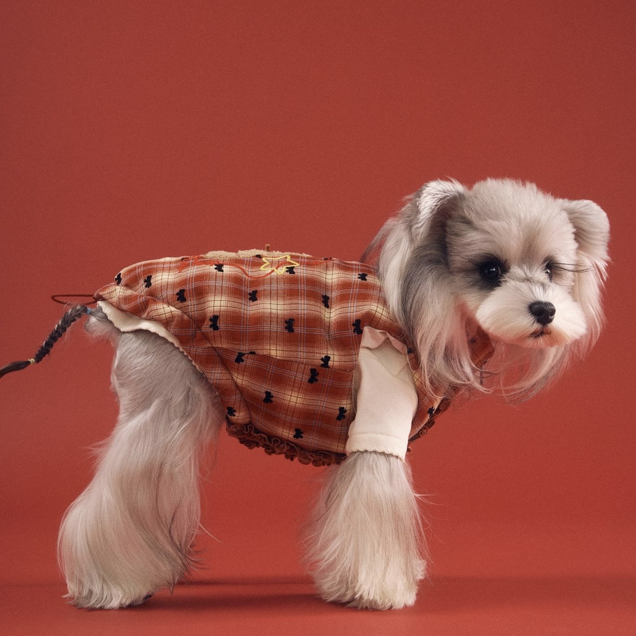 image_45682FCC-95B8-4061-8D8B-2CD64E6C21BA_1767698291