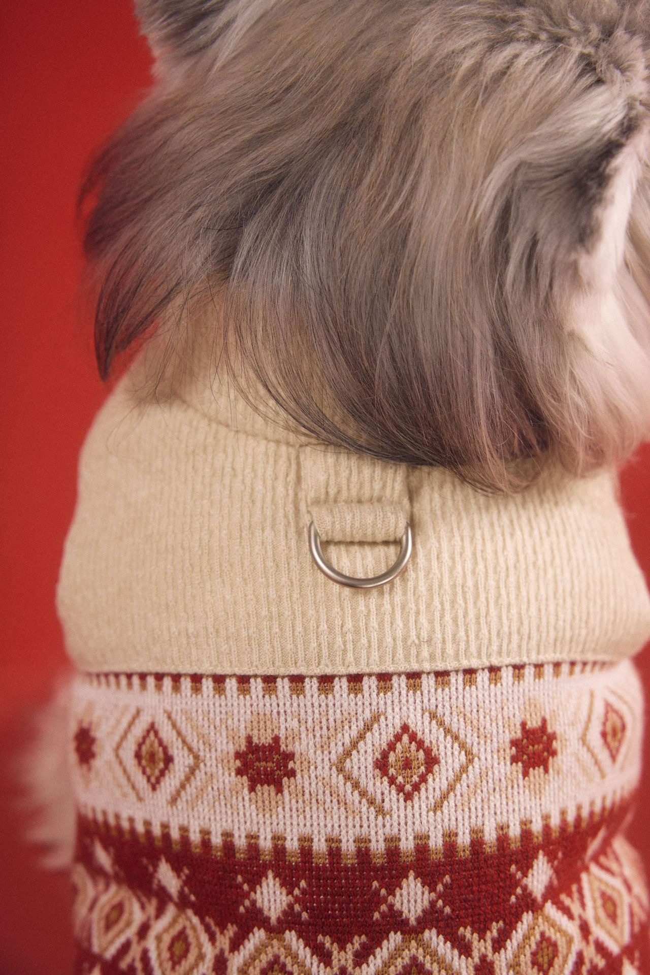 image_37E1199E-7CCB-42DC-96C5-9E5DC2D3CF87_1767698519