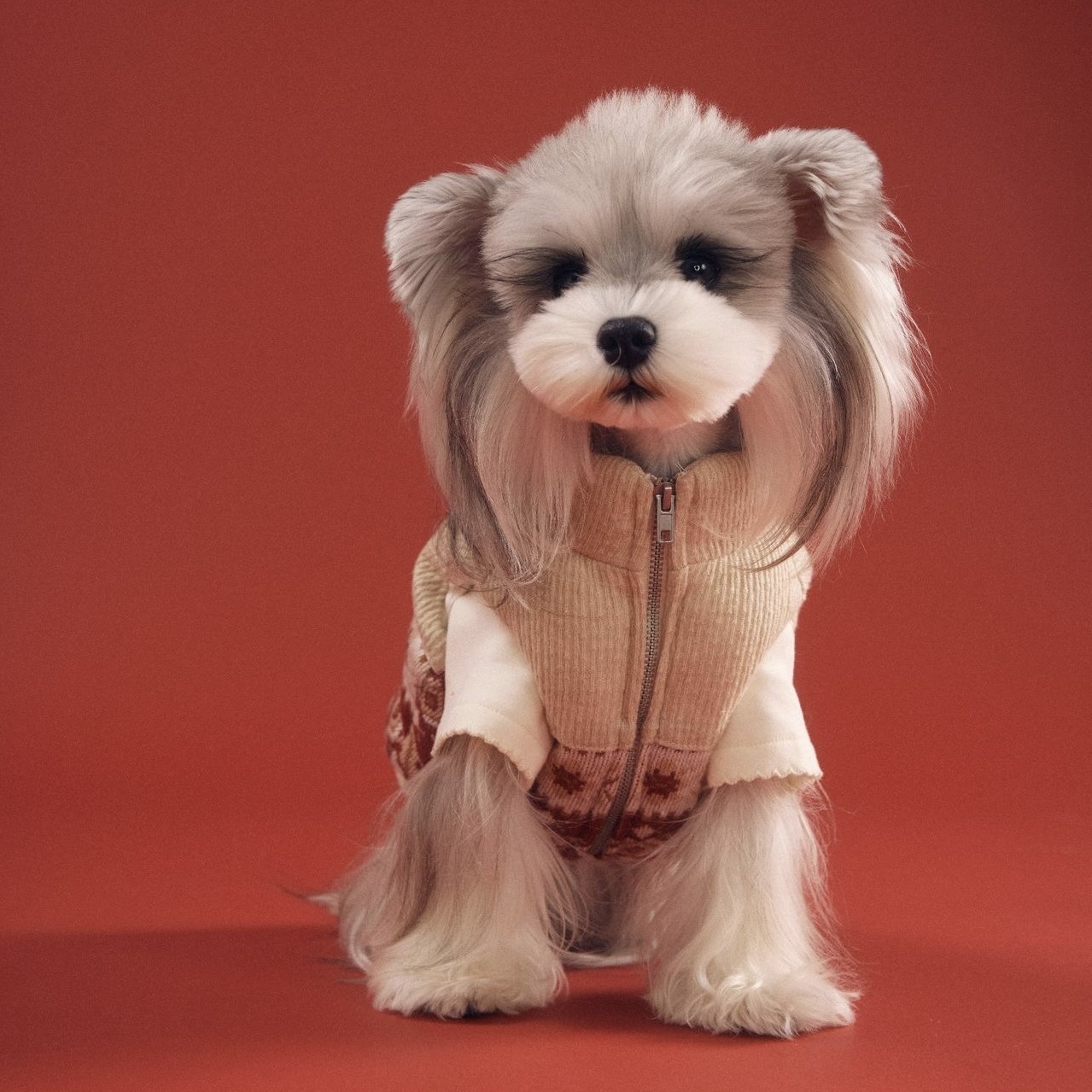 image_21B7E268-30A6-4200-B716-CA97F6DF9364_1767698519