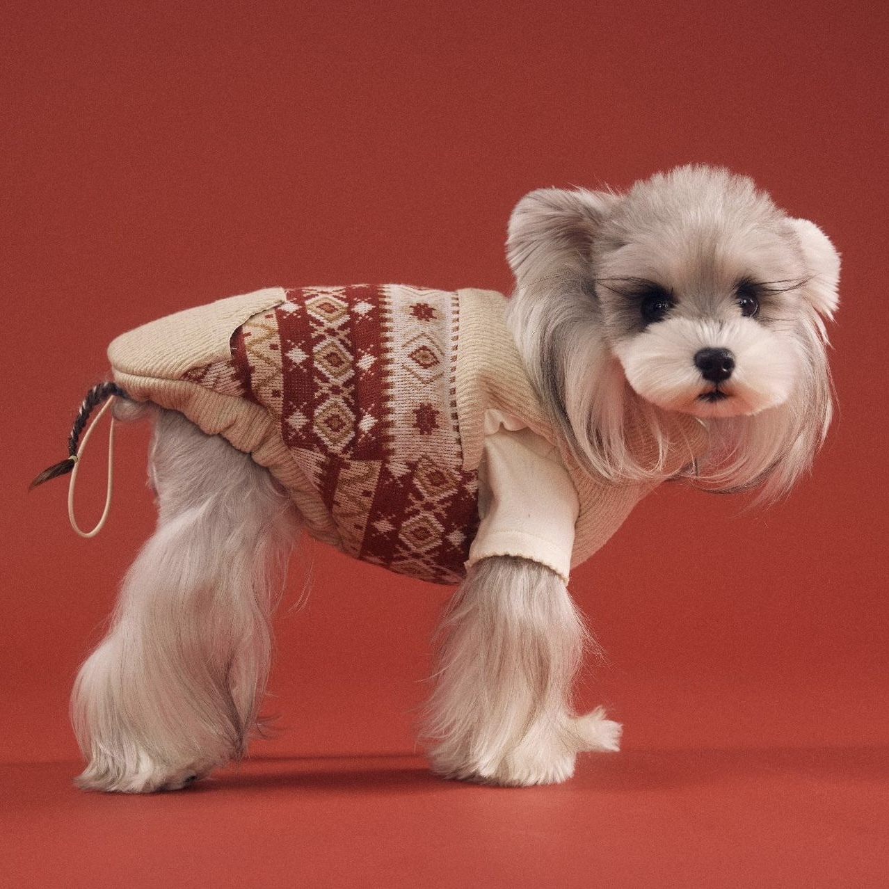 image_D11D01FE-DF1E-4F2B-8AF6-4025BB8C5609_1767698519