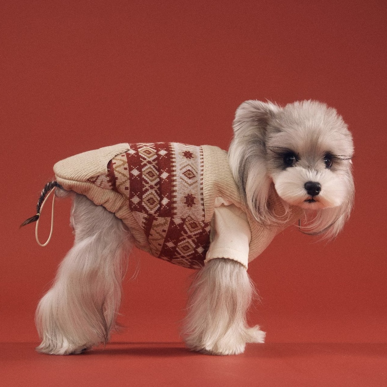 image_46867EC7-D559-4B2F-BBBC-A1CB091EA9D5_1767698519