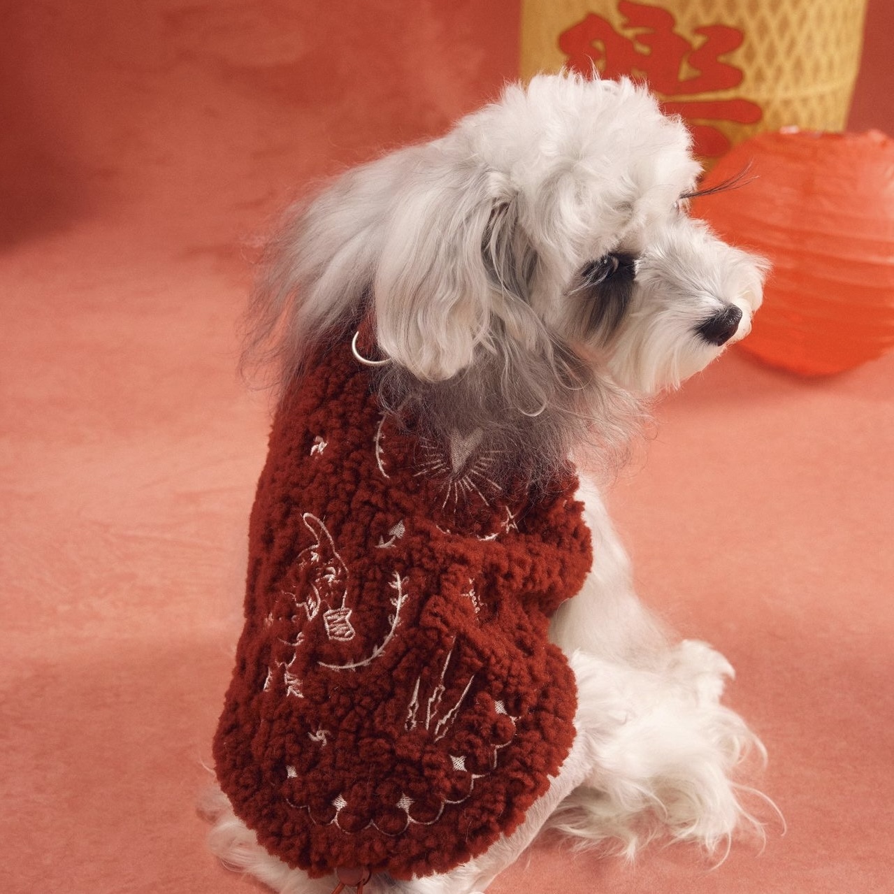 image_A0C1AF6E-2148-4DD0-99BC-FC8FC3B7F87D_1767783282