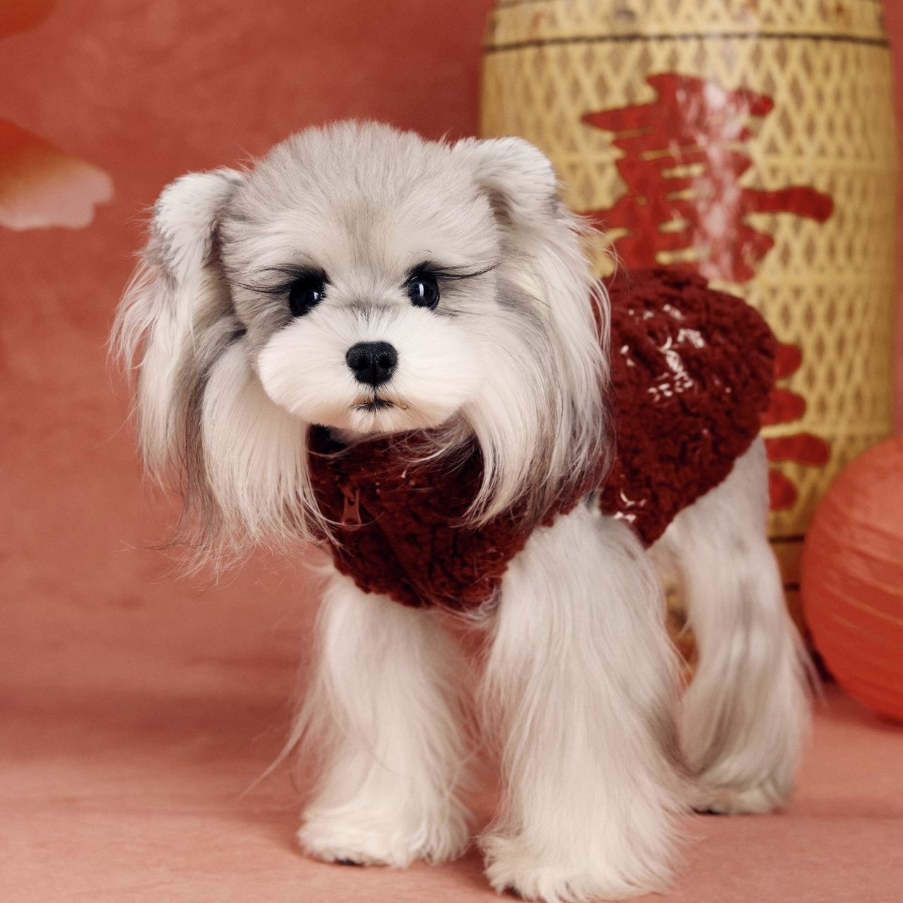 image_AE9B0611-95C8-4646-A88E-0DCB0966A89E_1767783282