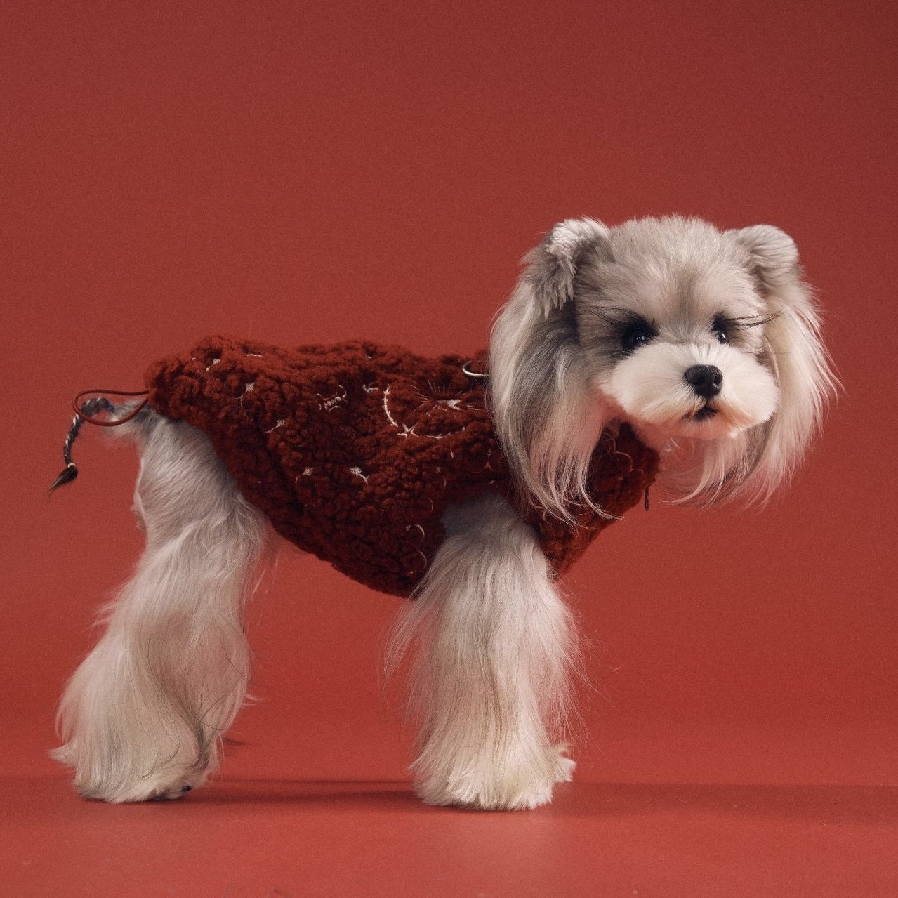 image_9A40834C-BA24-442D-A7F1-AAAF09A9BD71_1767783282