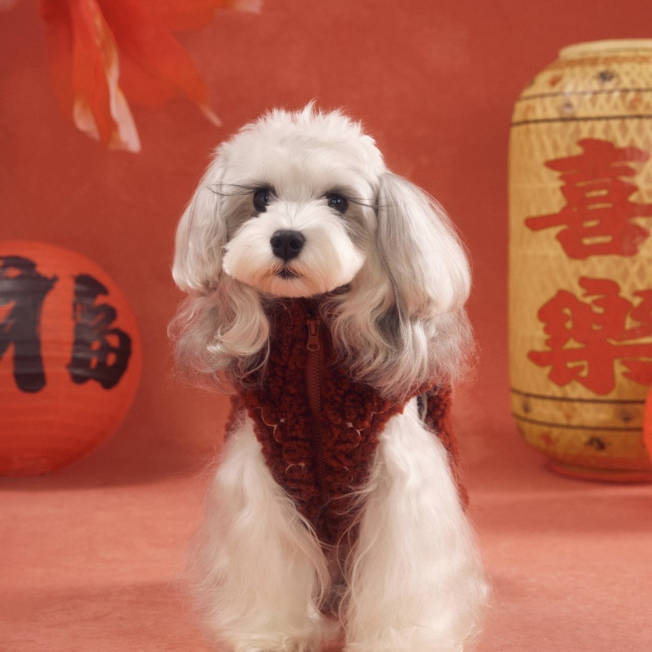 image_FD77C88D-2568-428B-B83B-EF7F79647B86_1767783282