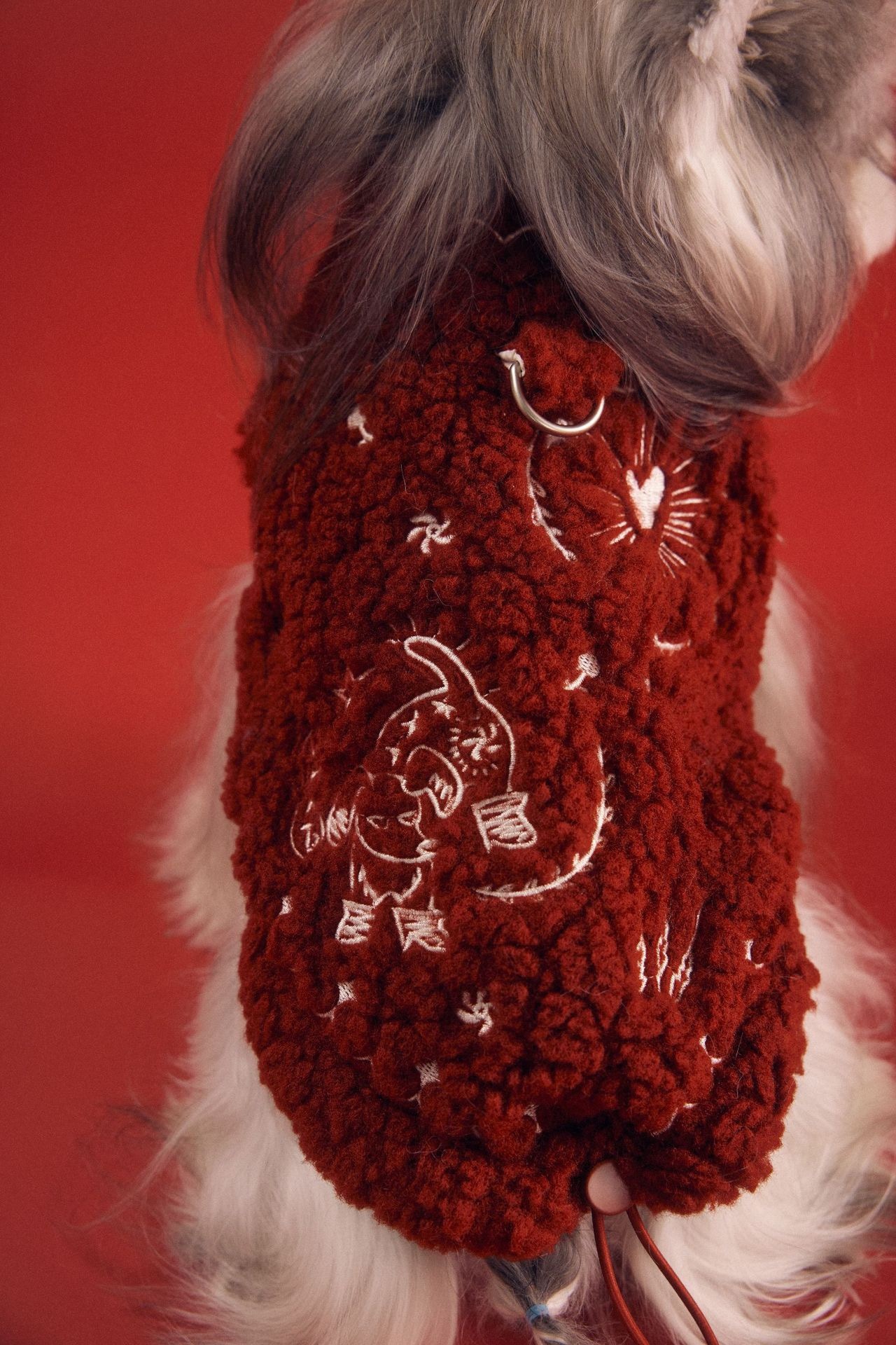 image_210BD029-D8B1-410A-9CE0-F425DD141CE6_1767783282