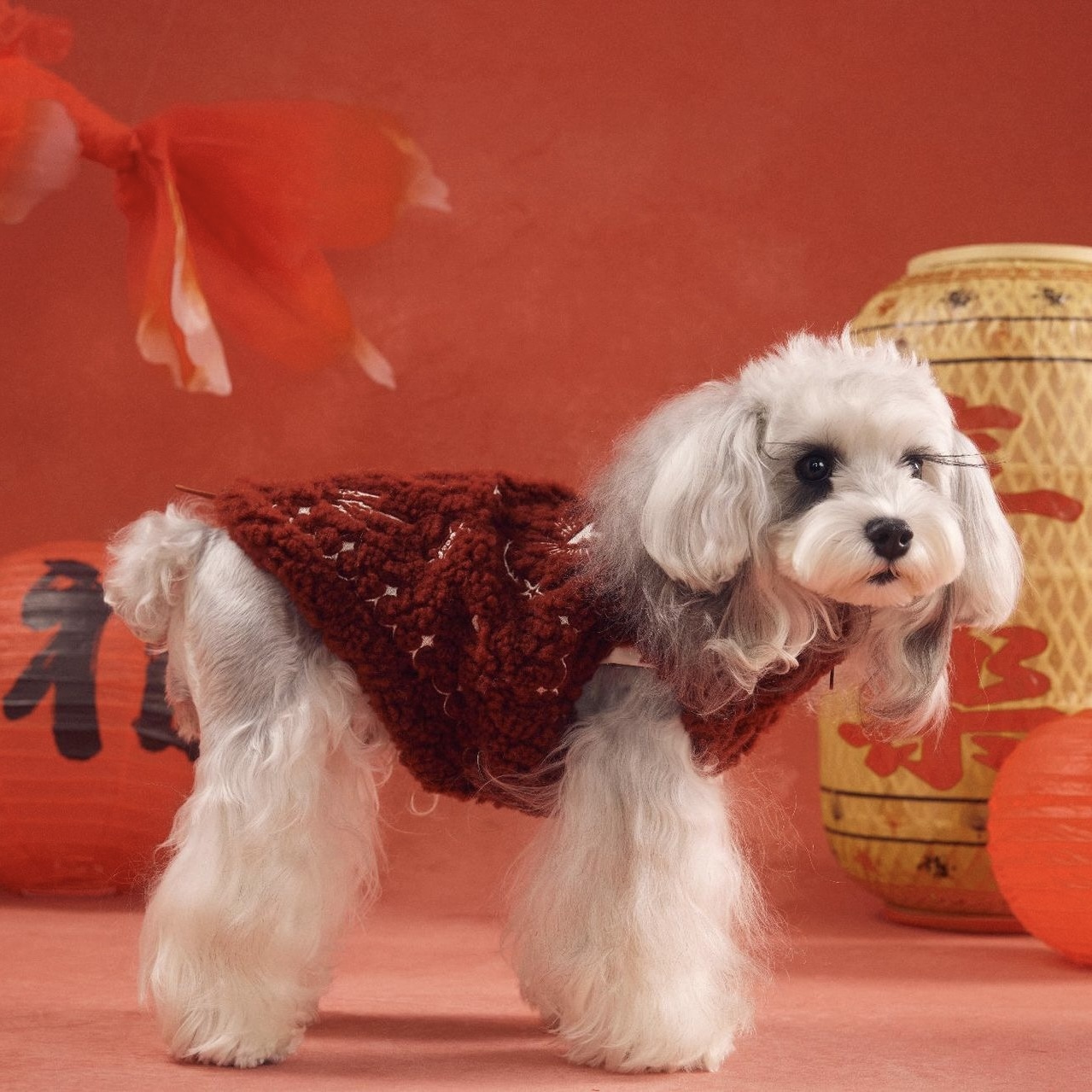 image_1E90CE15-C268-4822-B63A-A1E0FA7F17DB_1767783282