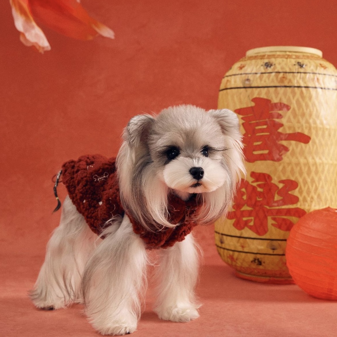 image_E0D251AC-157E-4C61-BE60-9A05D0FACF22_1767783282