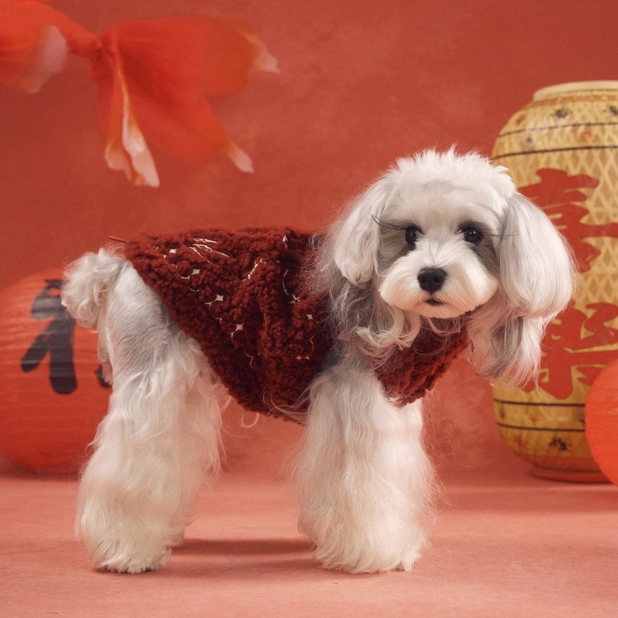 image_DA370DB2-4E1F-444C-8AE6-CD37205475B2_1767783282