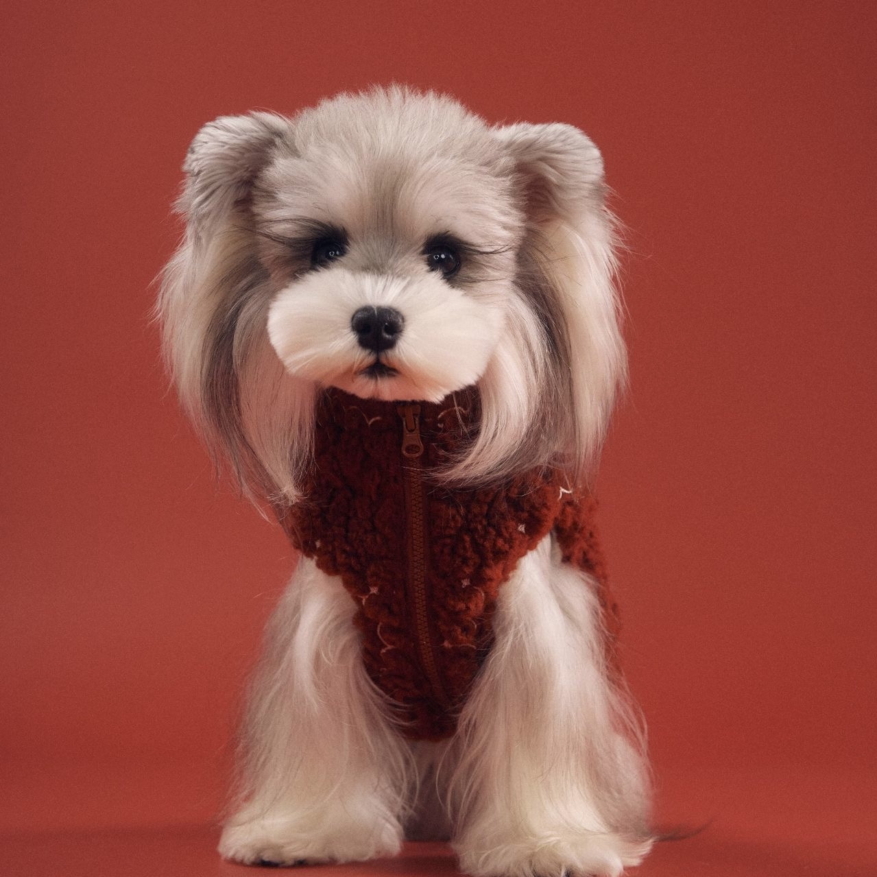 image_89AAF86C-6AF5-484E-866B-836942F0F6EB_1767783282