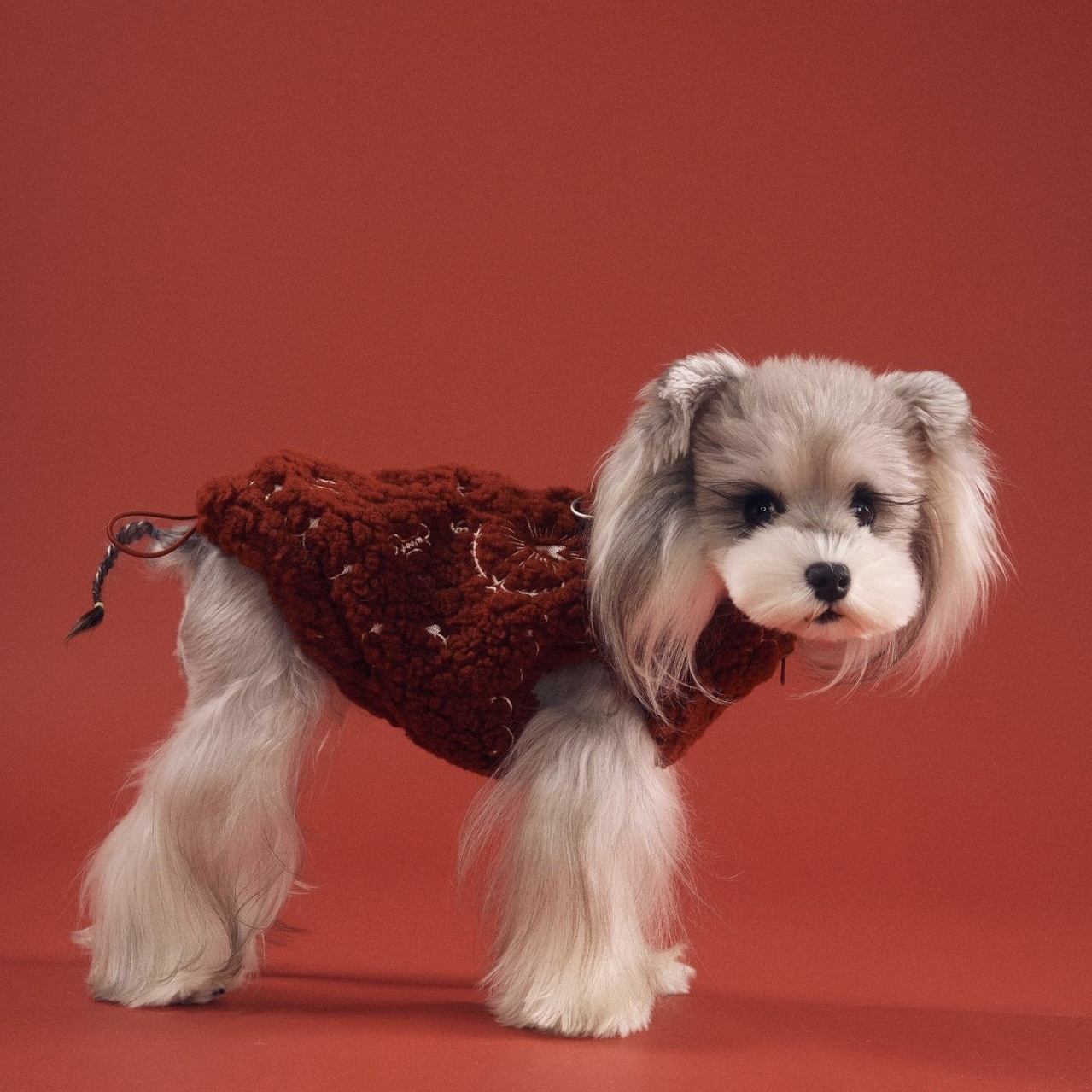 image_35BD242E-21C1-4356-8CE0-B1C02E578F41_1767783282