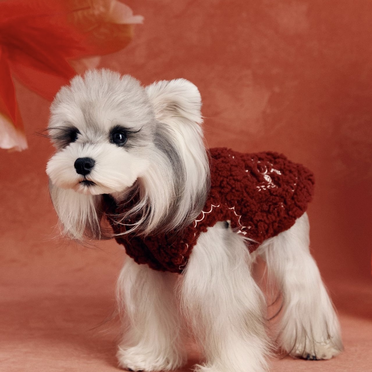 image_1F637D6F-8FF1-4D9D-87CC-DF977C339A2C_1767783282