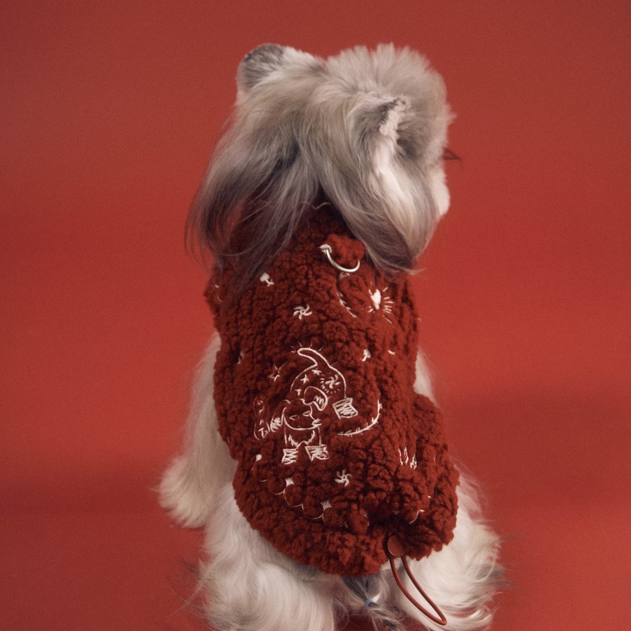 image_7A0C819A-B17B-4234-8B8D-B42192947DDB_1767783282