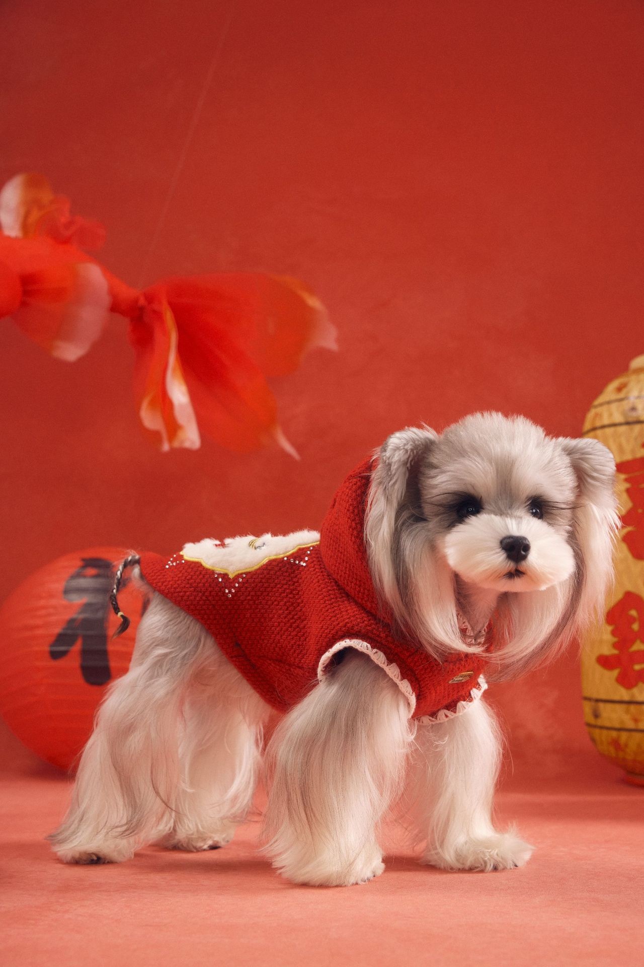 image_C79E6DCF-B515-41DE-89C1-5B4D93E8FBA6_1767783510