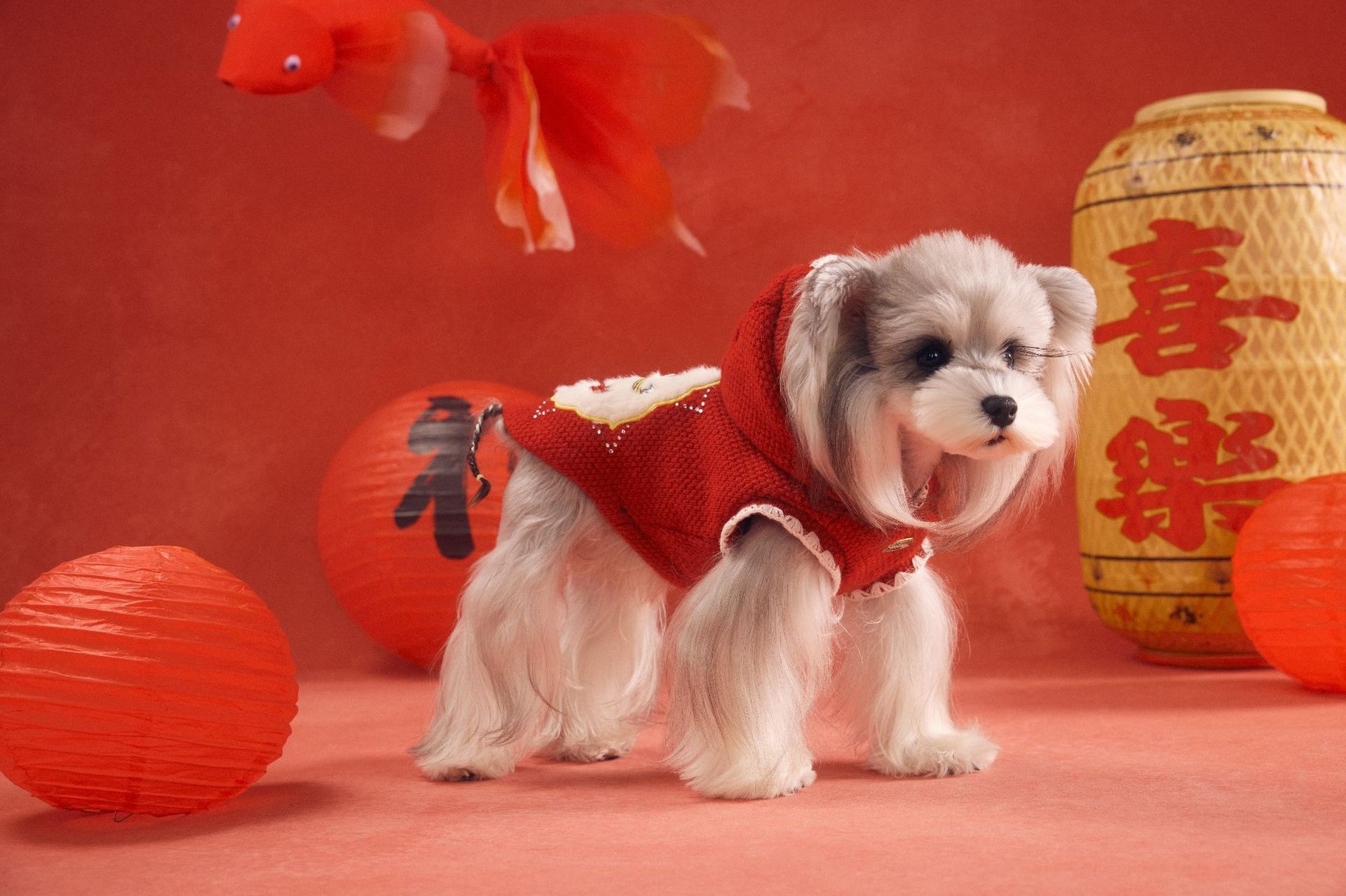 image_83EB4F06-5FDB-4FD7-A101-C78F622103EC_1767783510