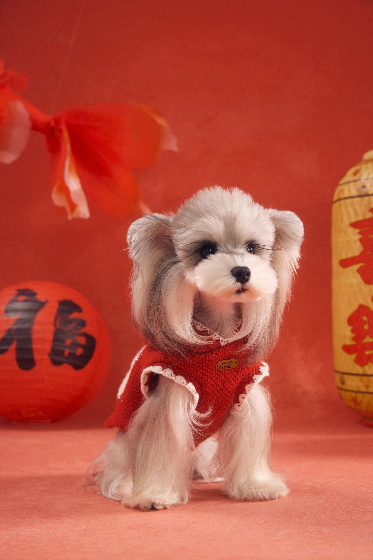 image_0E246E88-2336-4BF3-A84C-A17EE51954D0_1767783510