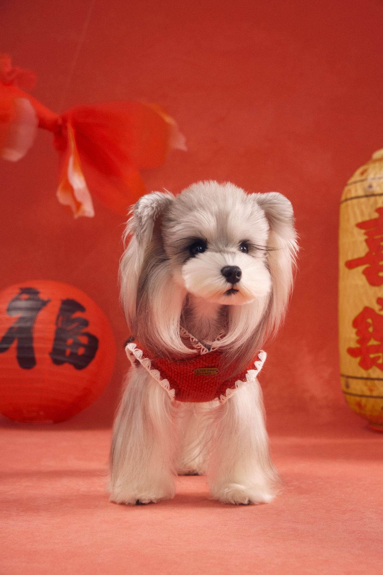 image_37199F26-F61C-4DCB-A5A5-61E1F9B779EA_1767783510