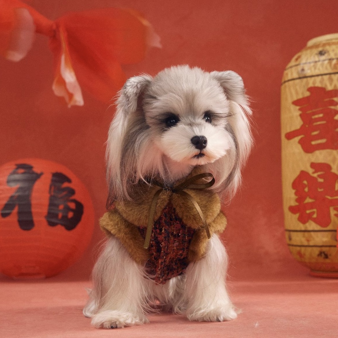 image_A84542E3-7FBE-4149-B08A-DB712F42ECE9_1767784103