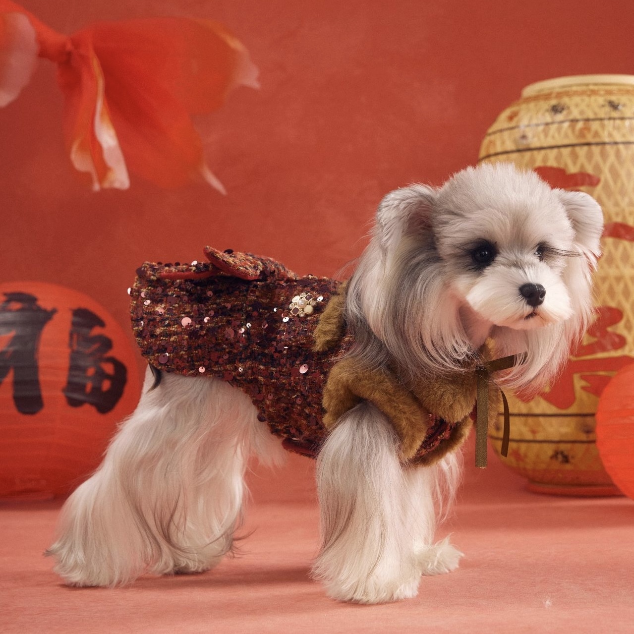 image_60FDBD15-DAC3-4B5C-8E6C-A7FA230733DF_1767784103