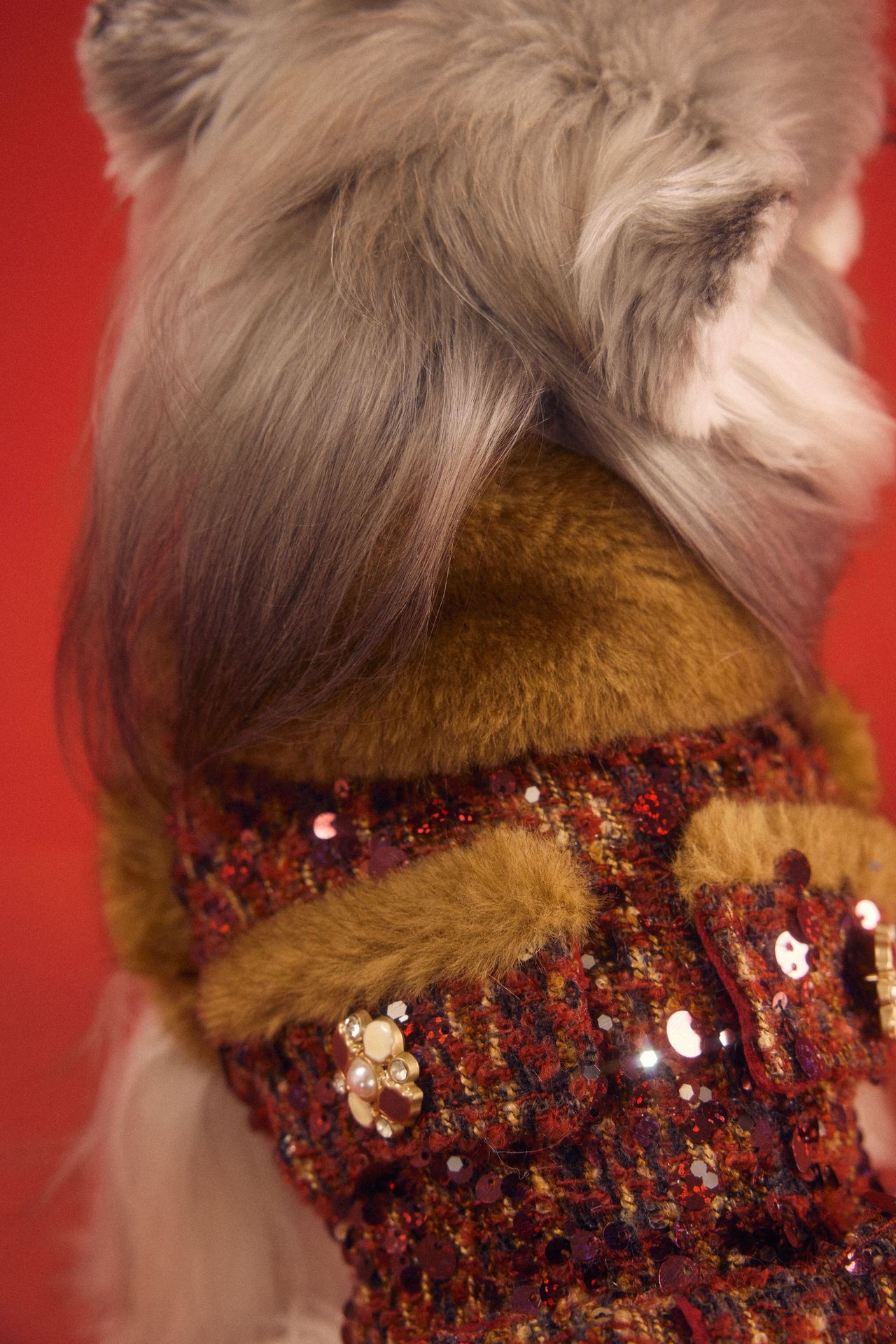 image_BB3FC32F-C3B9-4310-9E1C-76F82F915370_1767784103