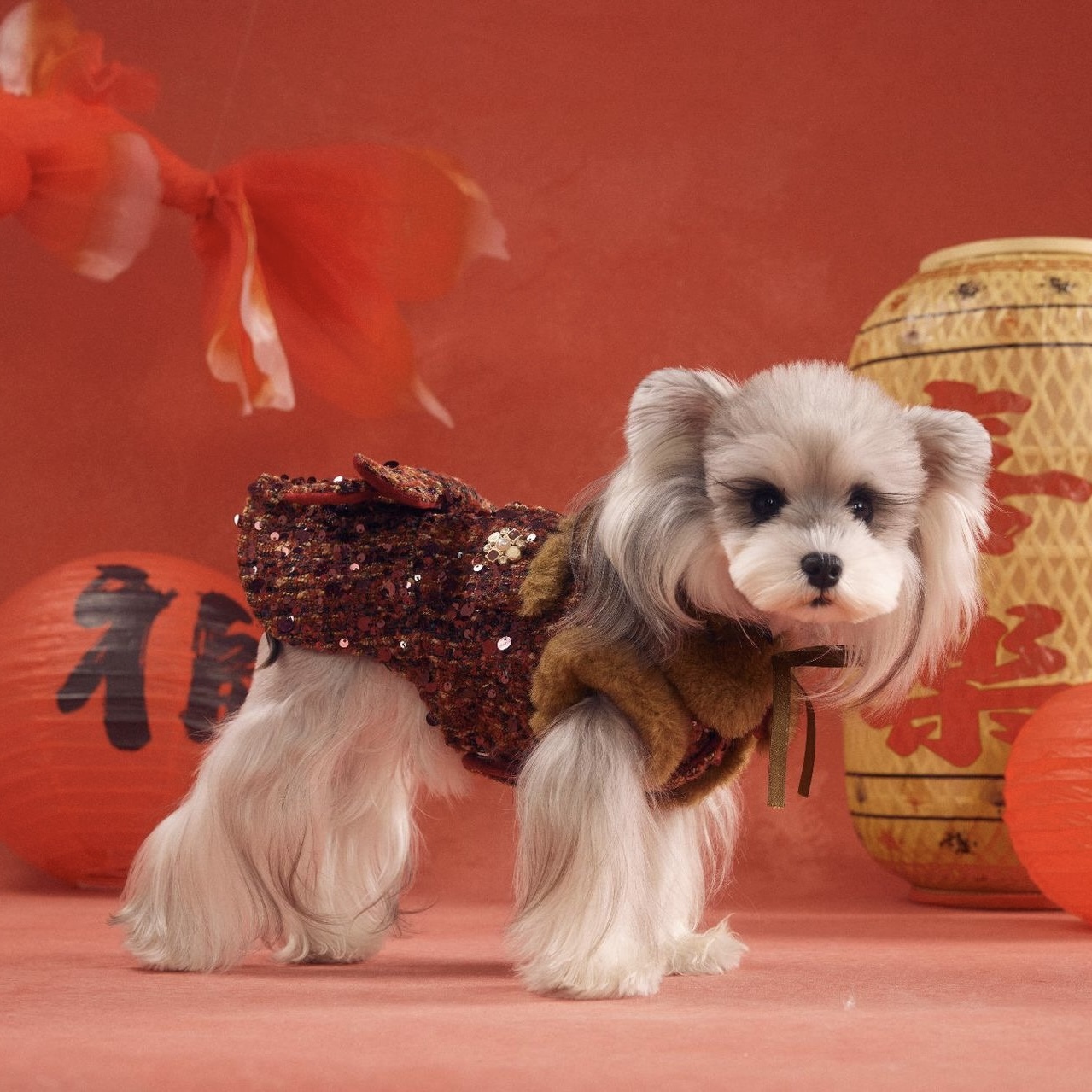 image_CE243044-7756-4882-9750-A7970BBF3A71_1767784103