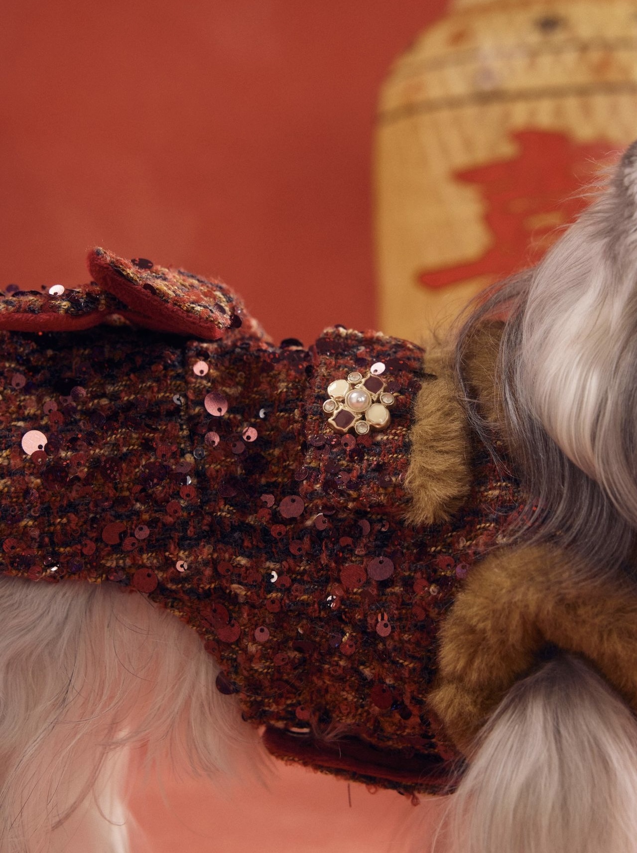 image_0A3647D2-E664-430A-90EB-3757412C9172_1767784103