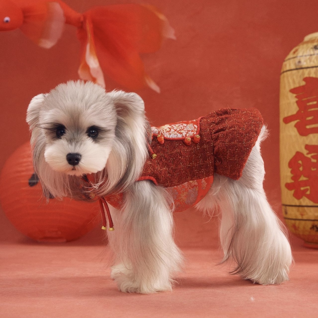 image_DDAD885D-76EB-4A33-A3B4-36105B6498F2_1767784294