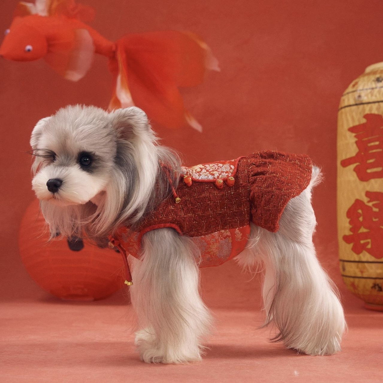 image_BA269430-8B57-4677-AE9F-50B2738503F2_1767784294