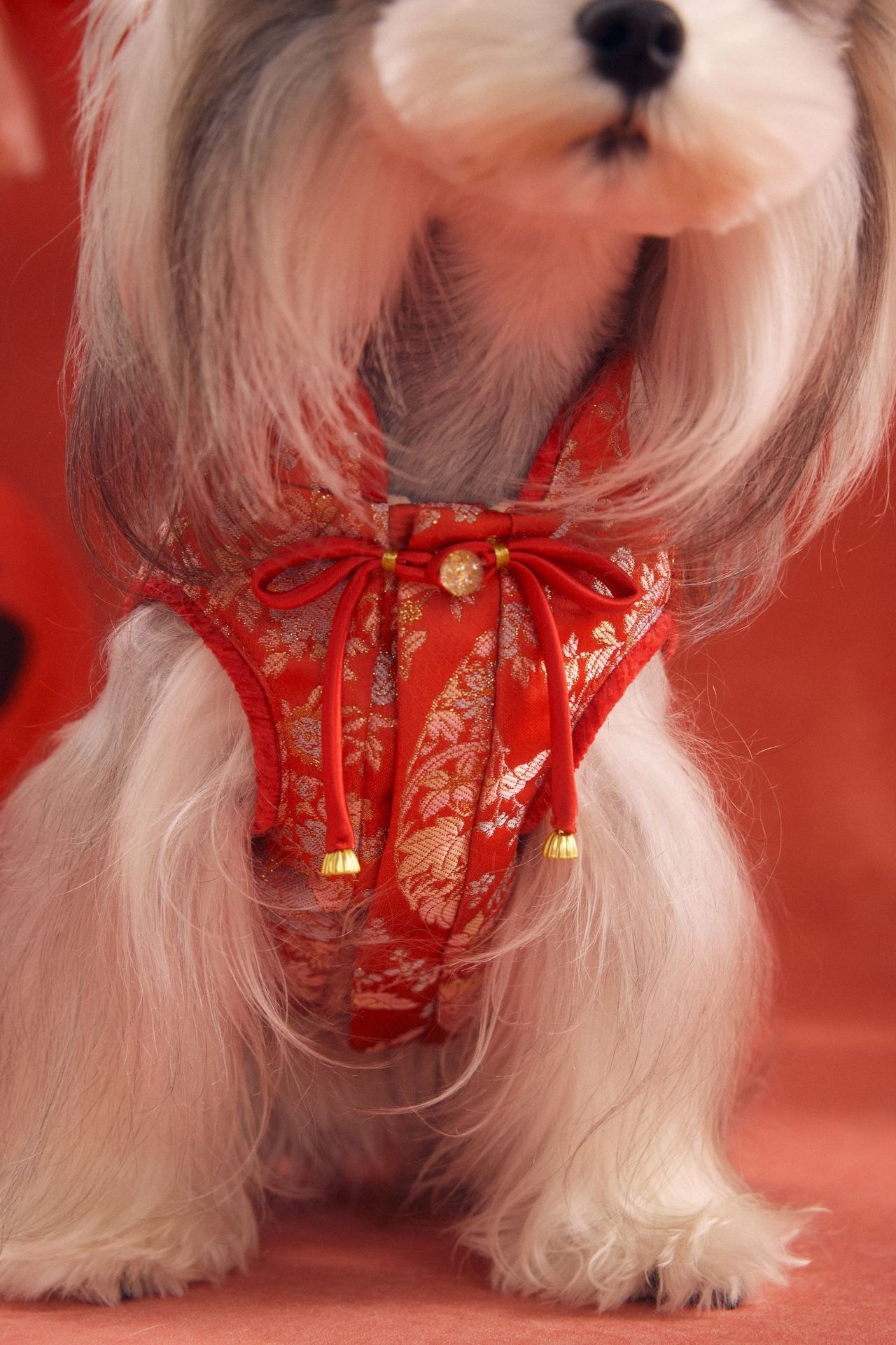 image_C57F0AE8-3C69-4B9A-9F6B-813FF603936B_1767784294