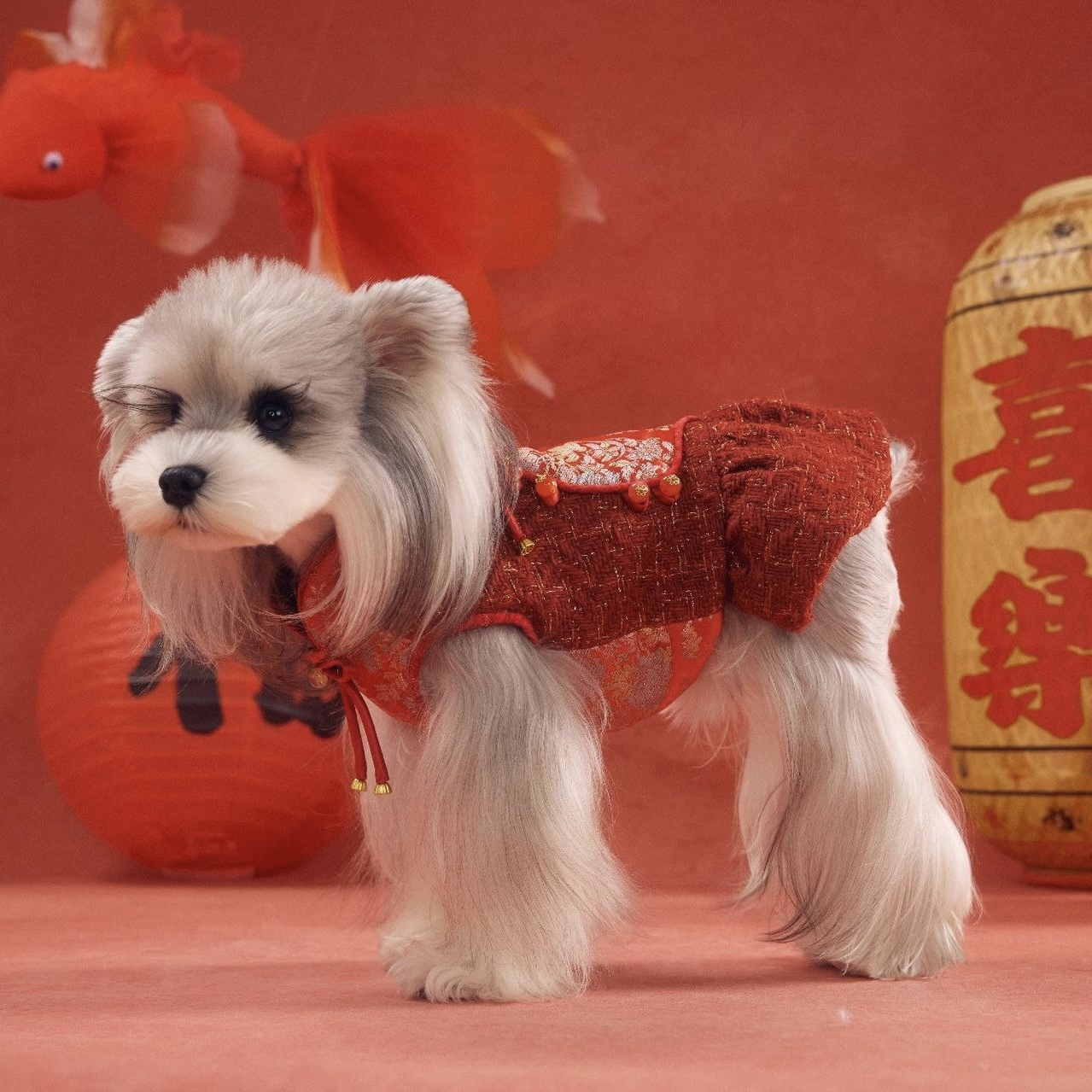 image_F3E0B565-88E5-4C61-977F-61FCA1D39A2B_1767784294