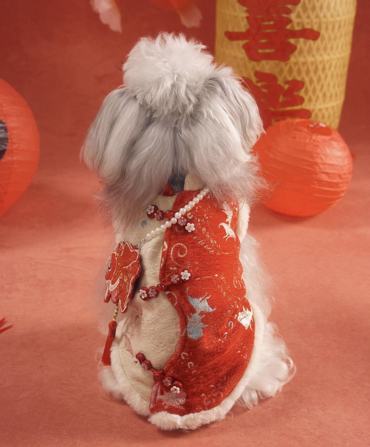 image_FAE19F63-8414-4620-8714-523CEB346F9F_1767784439