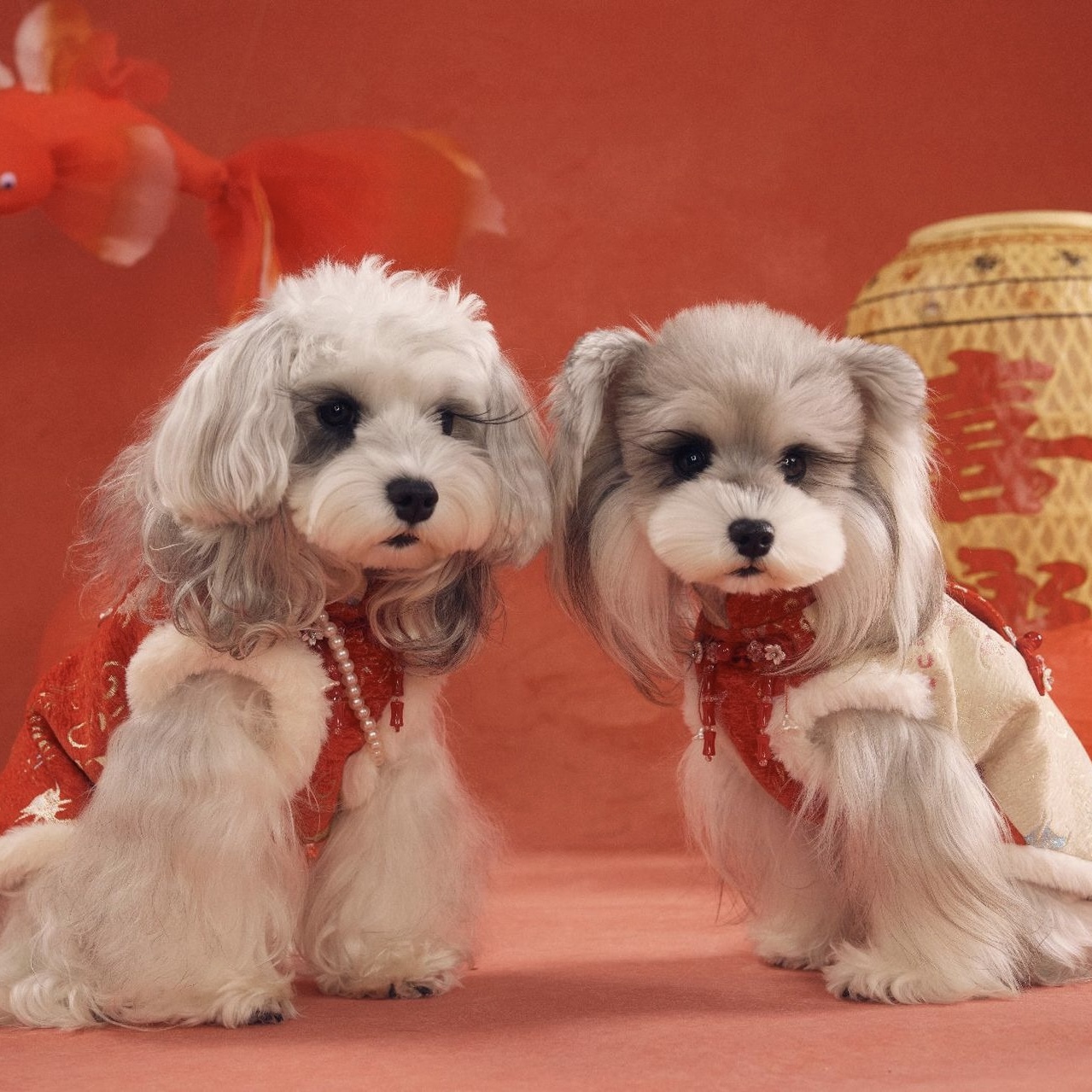 image_738EAA4E-19F0-4A04-B8B8-A81CB407E96B_1767784439