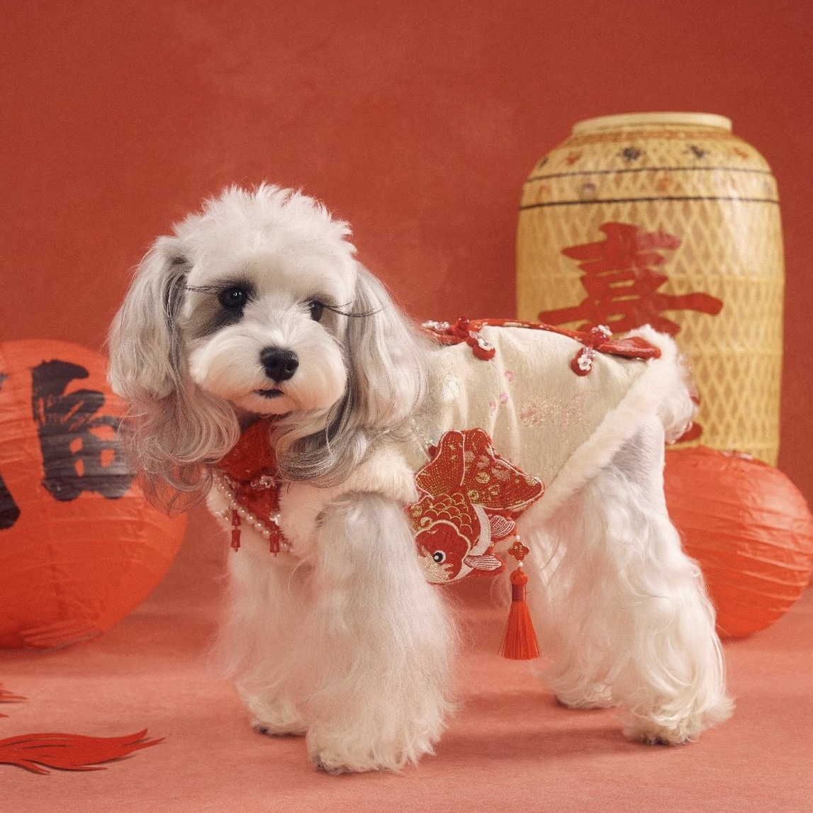 image_F4C8CF72-4D1B-4077-831C-13189812839C_1767784439