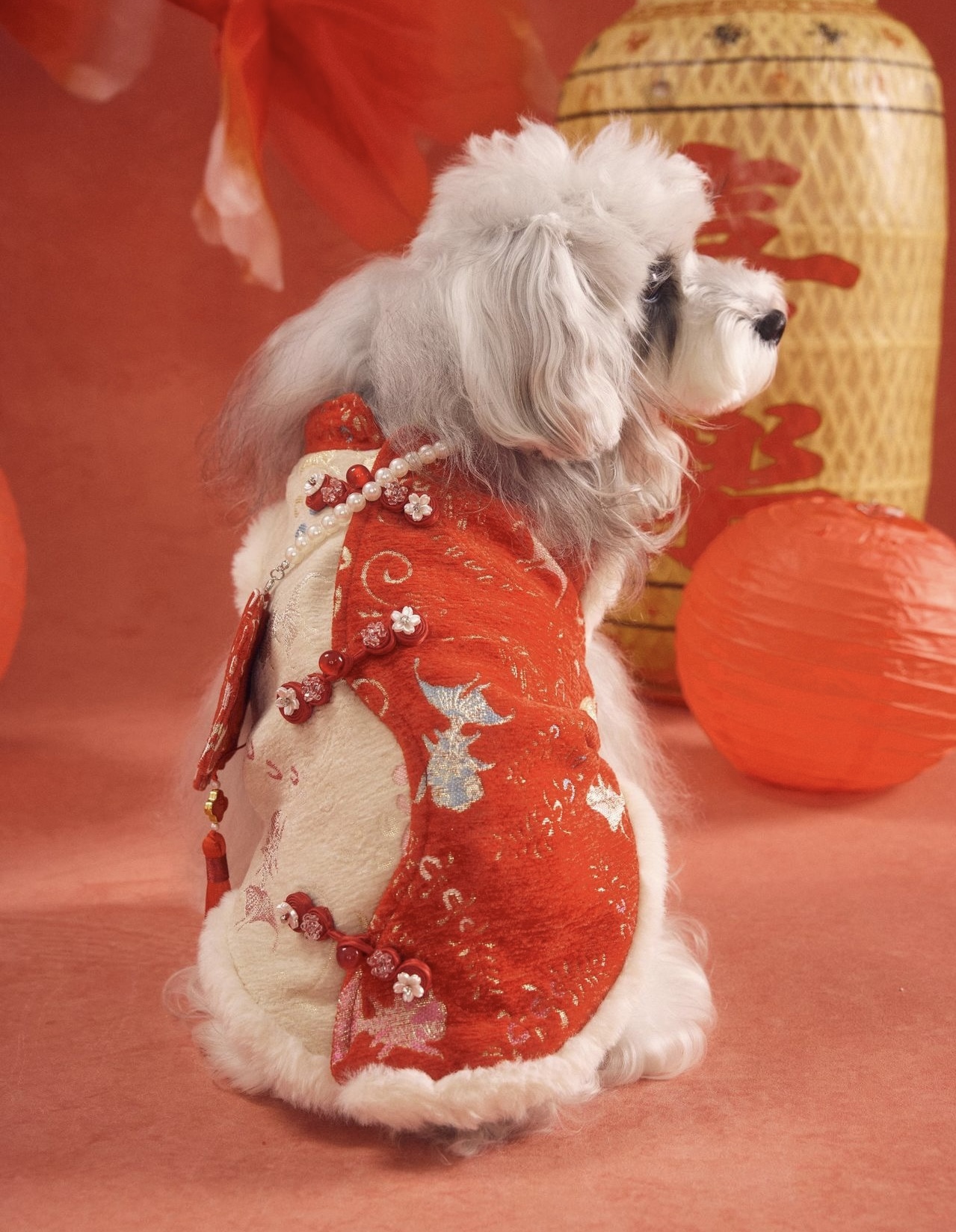 image_82095D19-CB0A-4B67-A593-73E94924E77A_1767784439