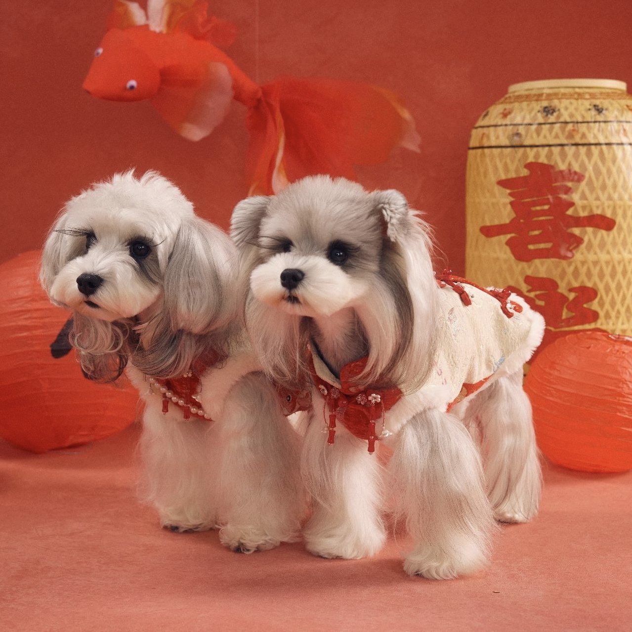 image_76BB0322-CA53-41E2-9987-5B69764EC105_1767784439