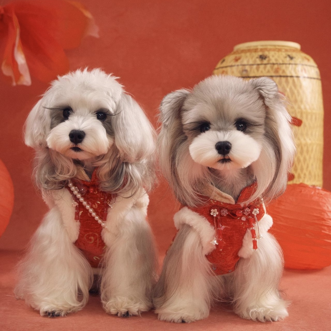 image_80F84539-C59E-4190-923C-DD4E0CF6F71C_1767784439