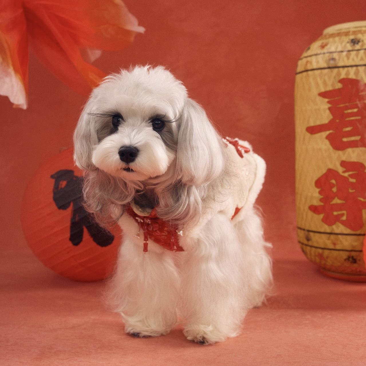 image_6CF570F4-CC4A-4FBD-AB08-3D1AA32134C2_1767784439