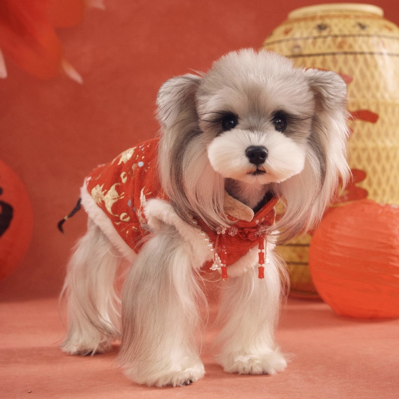 image_22F326B3-233C-432F-B0AB-4C248082B558_1767784439