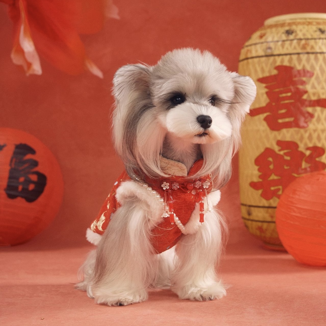 image_90D605D1-F5EA-4221-B414-1C4226CAC3C5_1767784439