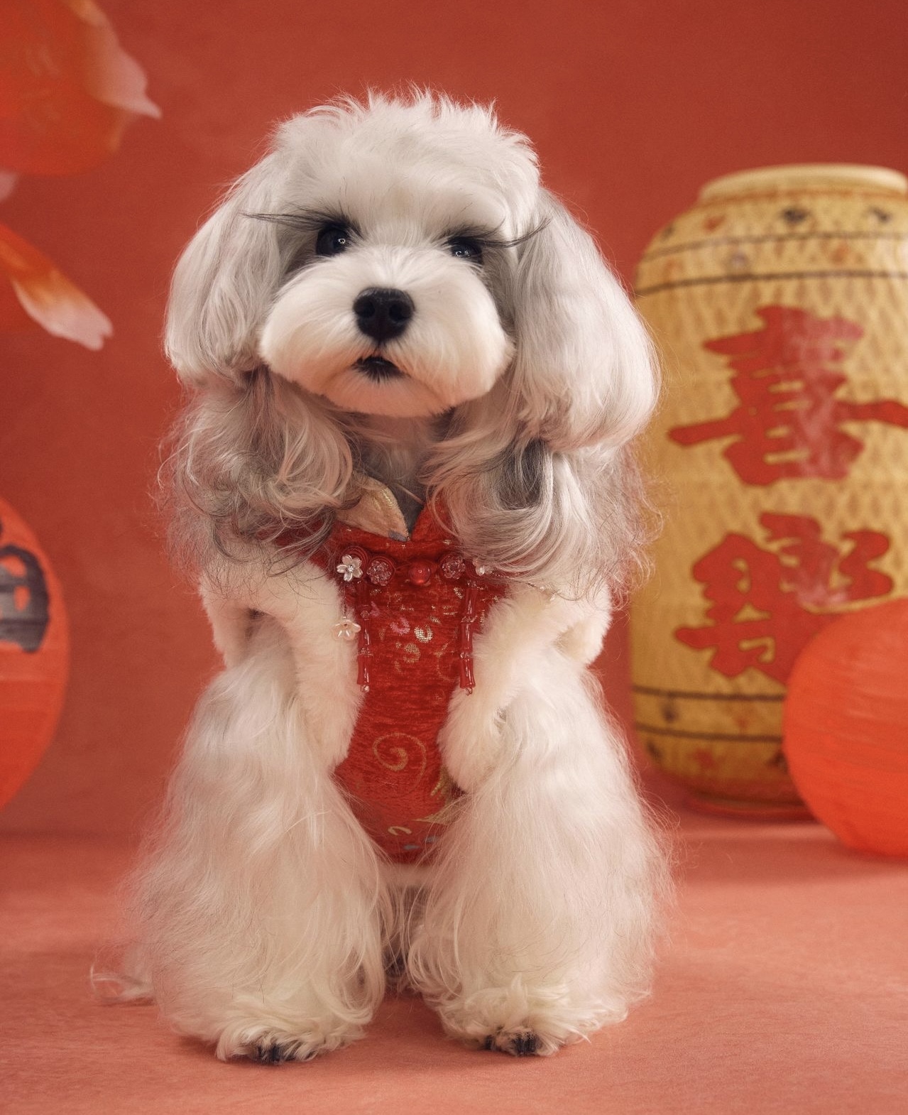 image_C6DD8742-97CA-42BD-B8CC-633300F3A80E_1767784439