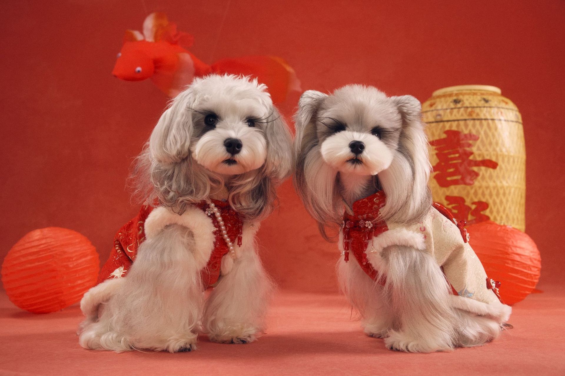 image_706CE0BD-9F83-459E-AA44-0490188709AC_1767784439