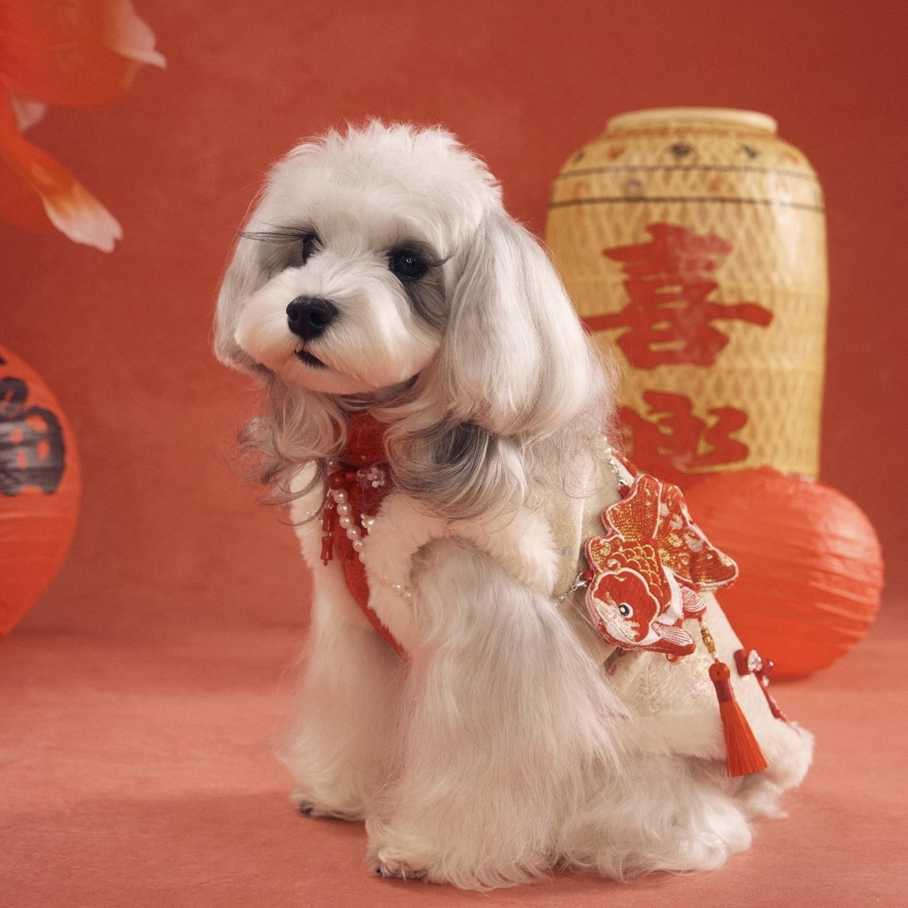 image_192BC123-E077-4CAB-B6EE-6BF75C619E35_1767784439