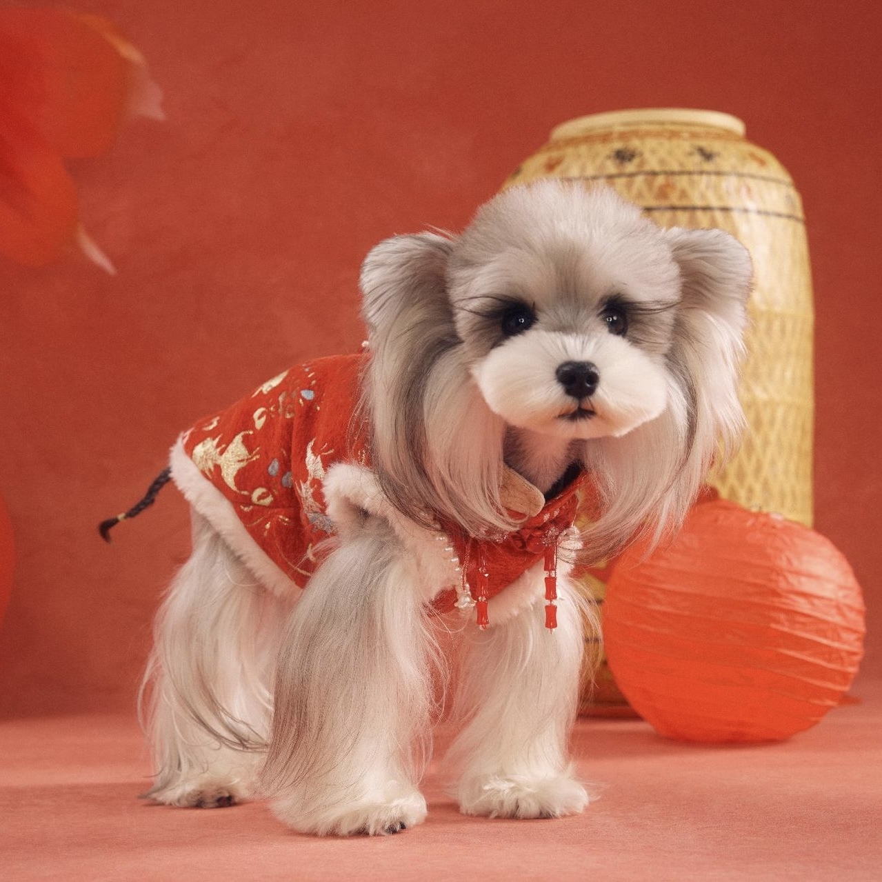 image_F9140B5F-ECF1-4481-83EE-9F2CA96A09B9_1767784439