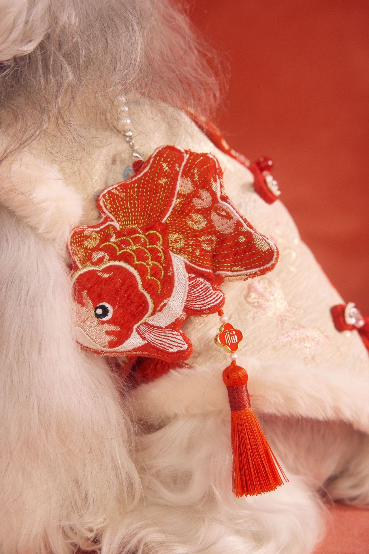 image_5022C74D-D308-4329-A25B-5EA2DA8C4810_1767784439