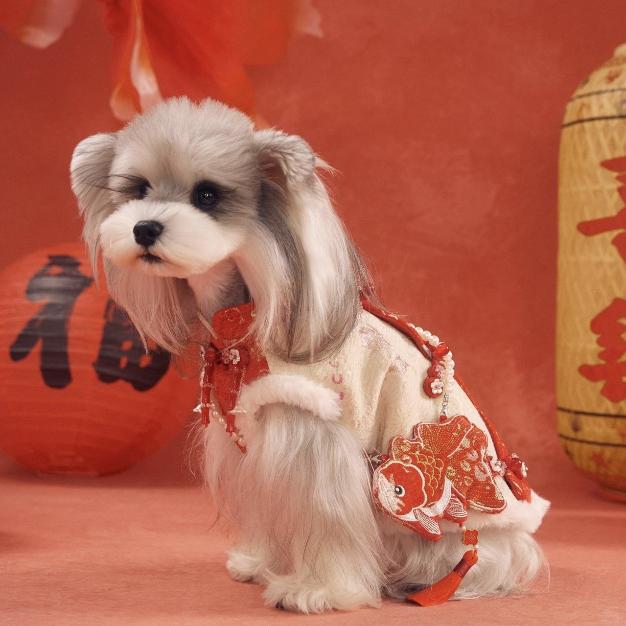 image_43FD9835-172F-410B-ABF9-7C1190D6B9D1_1767784439