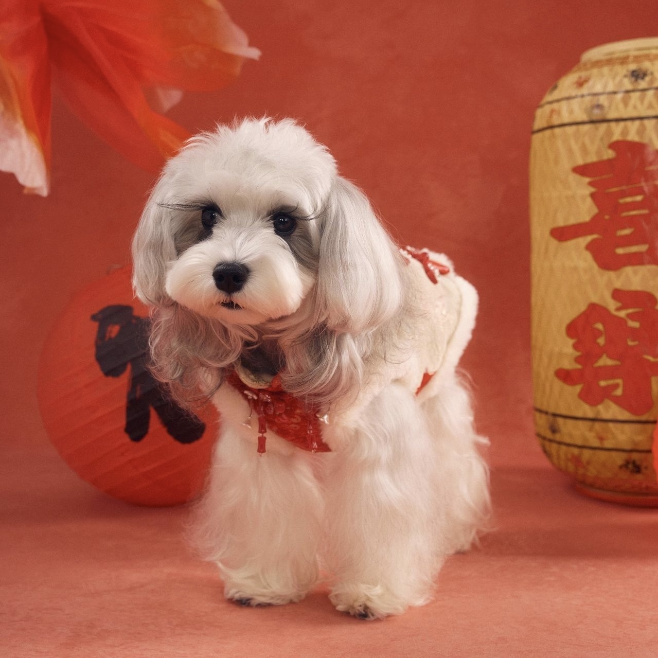 image_6CF570F4-CC4A-4FBD-AB08-3D1AA32134C2_1767784439