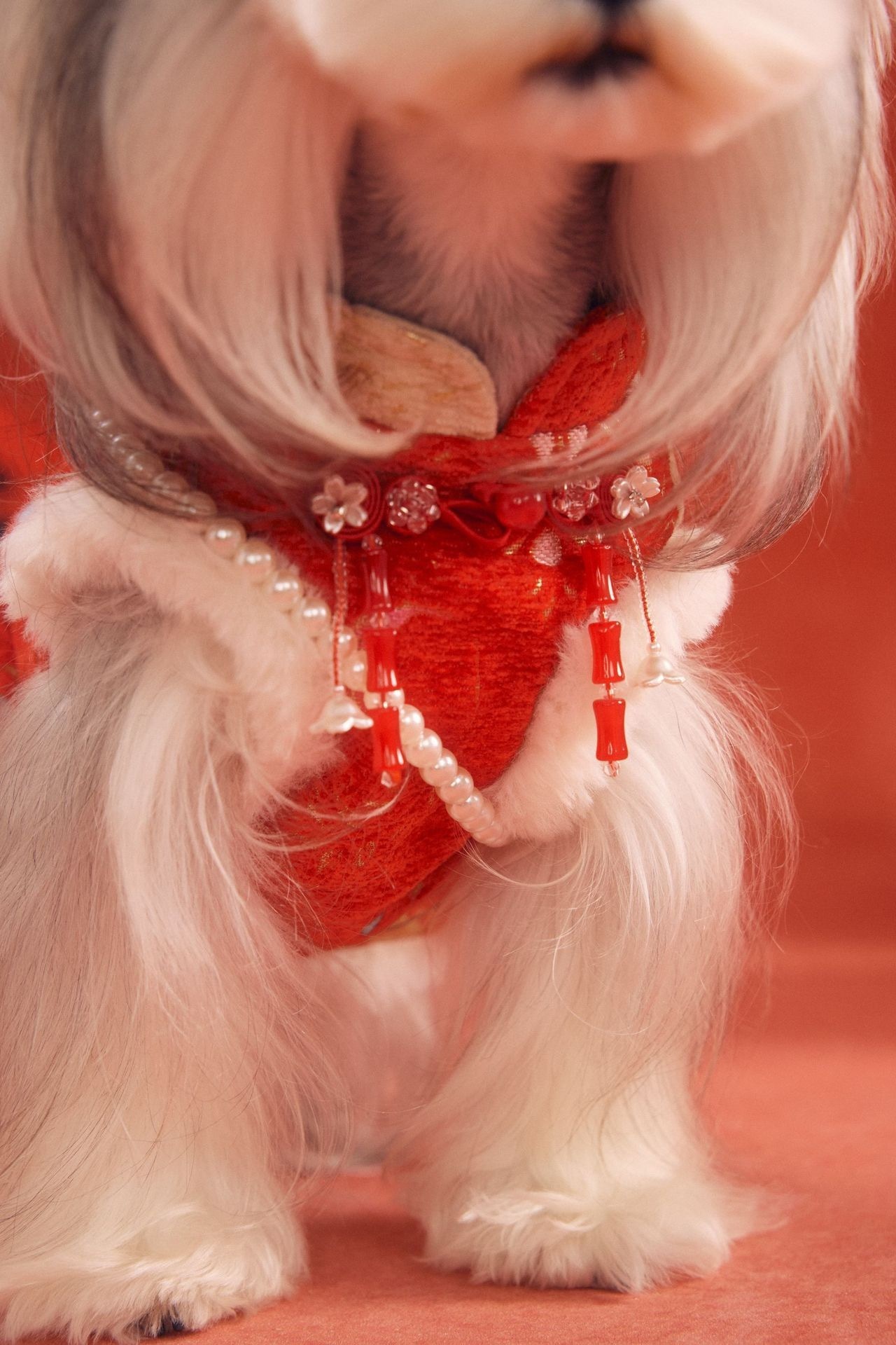 image_754B5342-8801-4827-A2B8-0E4E829A49E6_1767784439