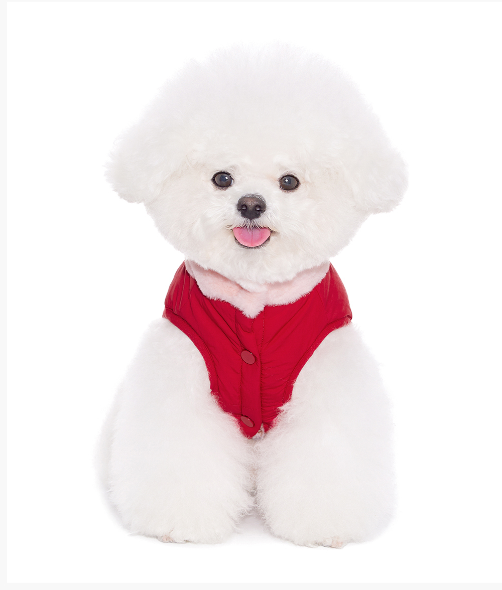 image_FCD8342C-447F-4AFE-894F-2AAF5DFBB70B_1767842296